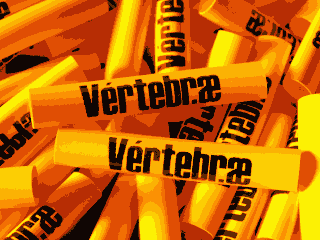 yellow coloured vertebrae frame protector labels.gif